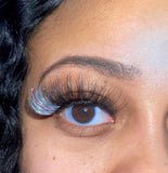 Fairytale (Dramatic Lash)