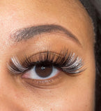 VVS (Med. Length Lash)