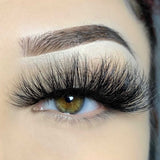 Pressure (DRAMATIC LASH)